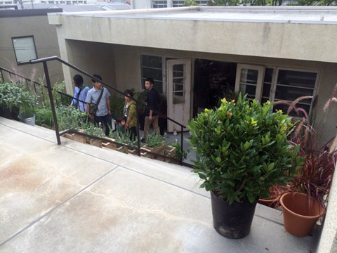 TRUCK 屋上 観葉植物
